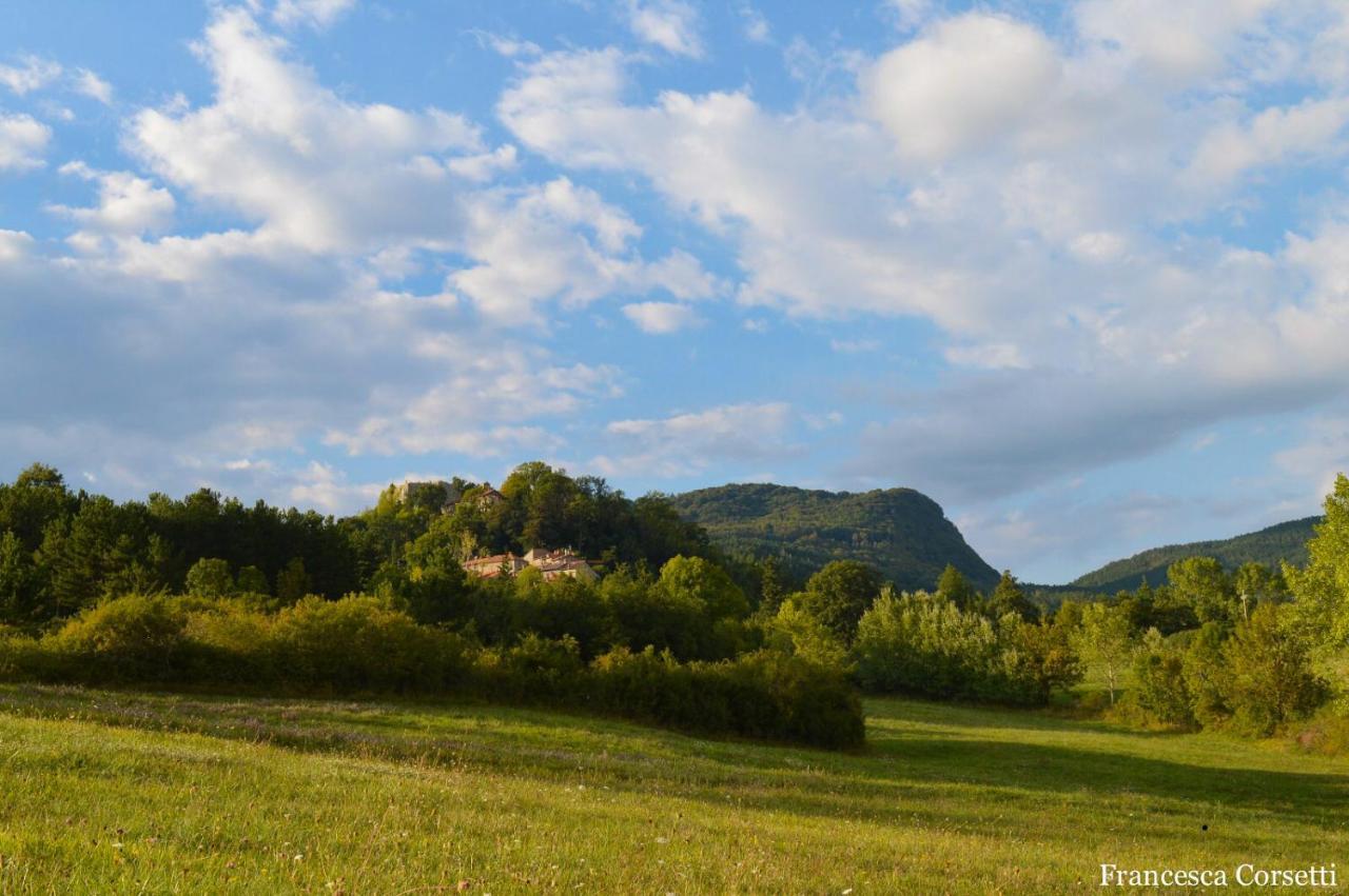 Agriturismo Vezzano Chiusi della Verna Exterior foto