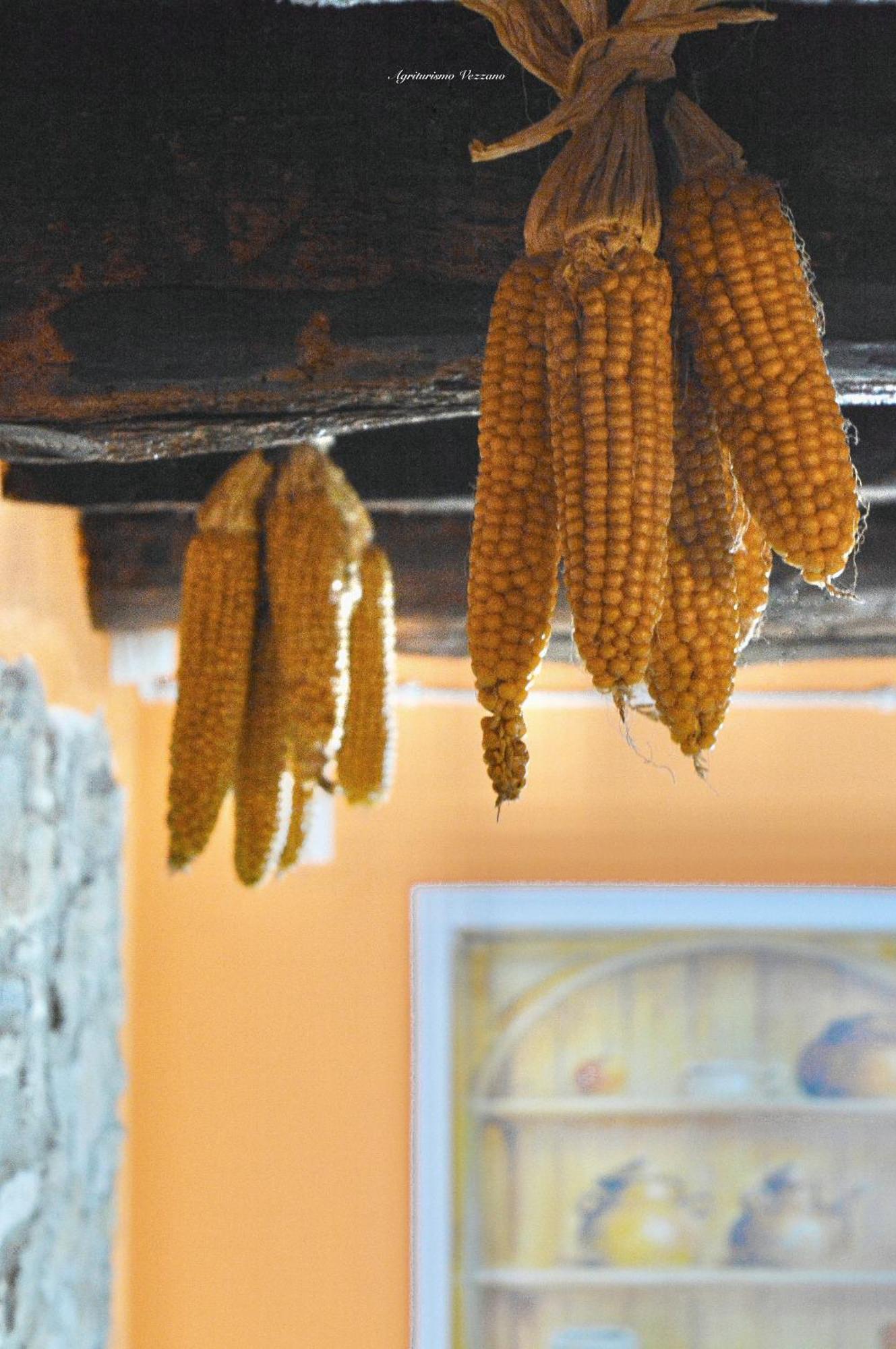 Agriturismo Vezzano Chiusi della Verna Quarto foto